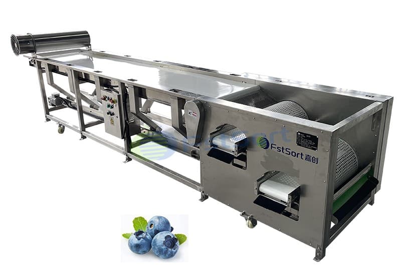 blueberry sorting machine.jpg